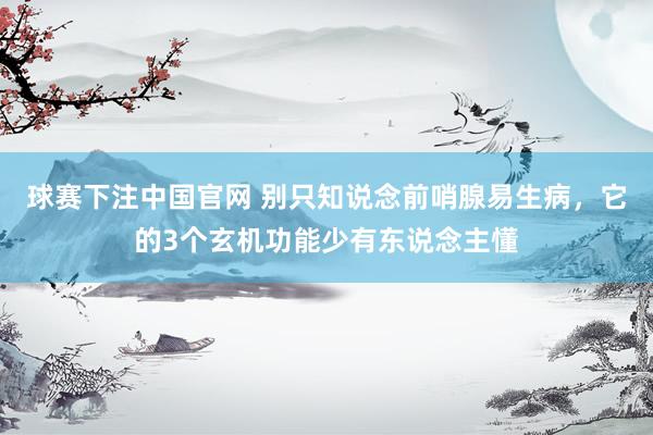 球赛下注中国官网 别只知说念前哨腺易生病，它的3个玄机功能少有东说念主懂