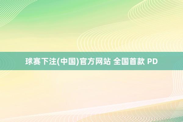 球赛下注(中国)官方网站 全国首款 PD