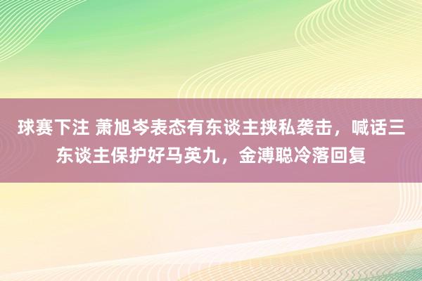 球赛下注 萧旭岑表态有东谈主挟私袭击，喊话三东谈主保护好马英九，金溥聪冷落回复