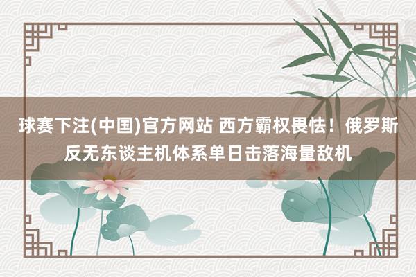 球赛下注(中国)官方网站 西方霸权畏怯！俄罗斯反无东谈主机体系单日击落海量敌机