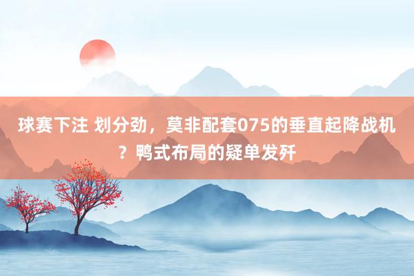球赛下注 划分劲，莫非配套075的垂直起降战机？鸭式布局的疑单发歼