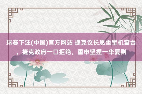 球赛下注(中国)官方网站 捷克议长思坐军机窜台，捷克政府一口拒绝，重申坚捏一华夏则