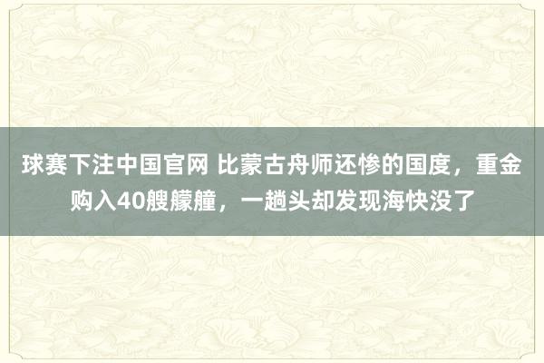 球赛下注中国官网 比蒙古舟师还惨的国度，重金购入40艘艨艟，一趟头却发现海快没了