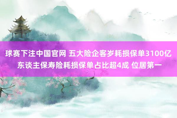 球赛下注中国官网 五大险企客岁耗损保单3100亿 东谈主保寿险耗损保单占比超4成 位居第一